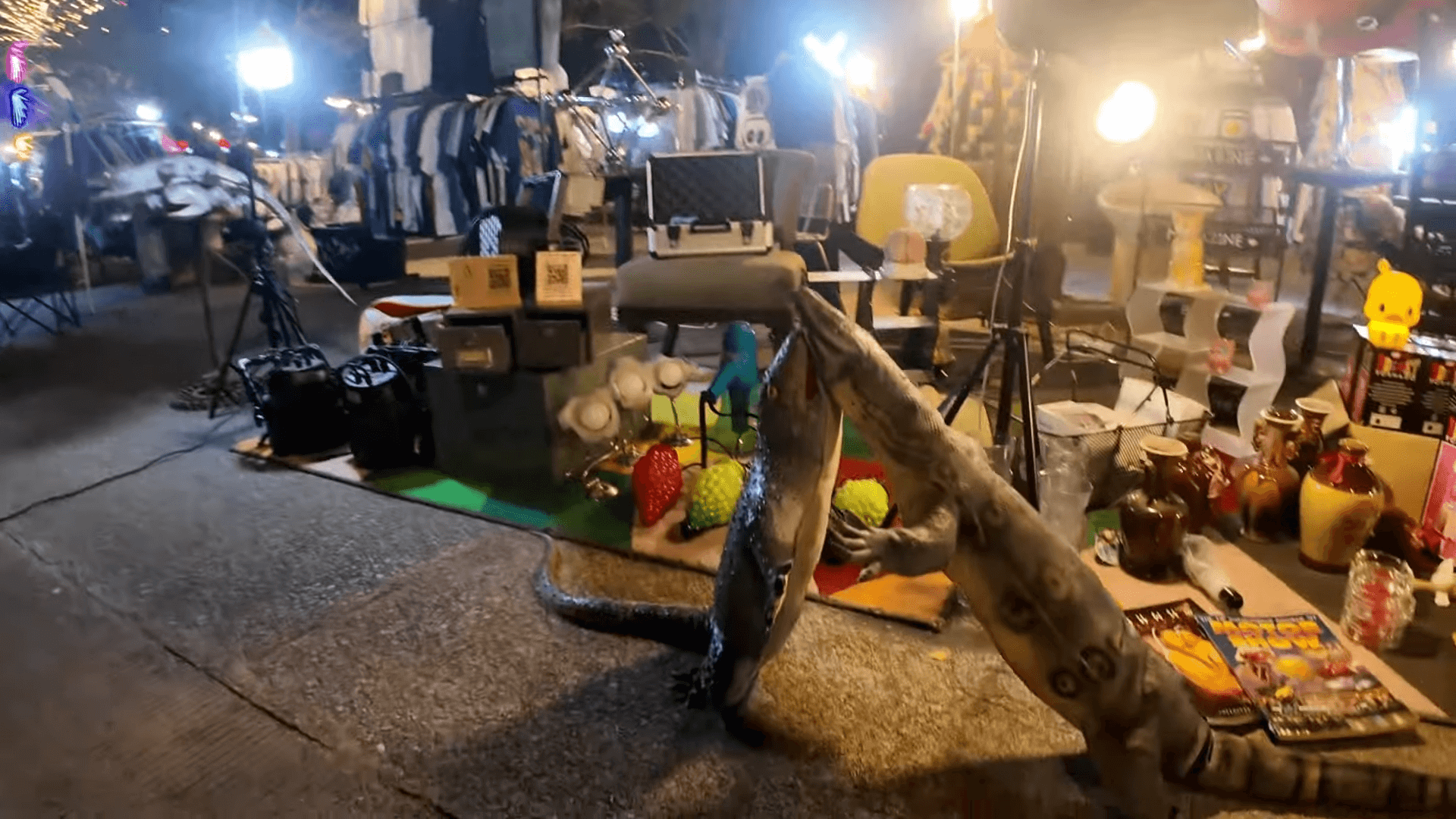 videoframe_895778.png